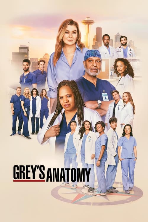 Grey’s Anatomy : 12.Sezon 24.Bölüm İzle