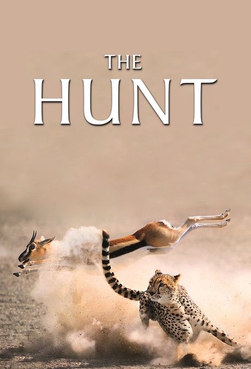 The Hunt : 1.Sezon 7.Bölüm İzle